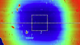 The origin of oxygen in oxide thin films: Role of the substrate