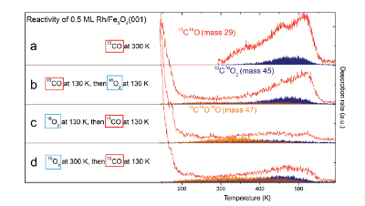 Low-frequency plasma activation of nylon 6